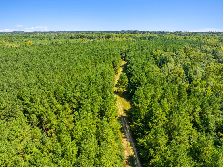 More Photos Of 7471 Highway 155, Saline Land For Sale