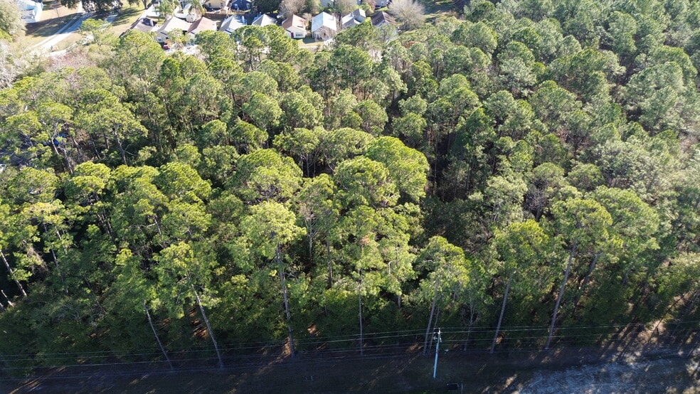 More Photos Of 0 Baxley Rd, Middleburg Land For Sale