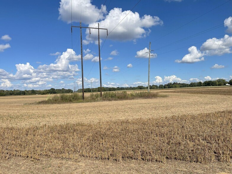 More Photos Of County 21 & Bell Grayson Road hwy, Demopolis Land For Sale