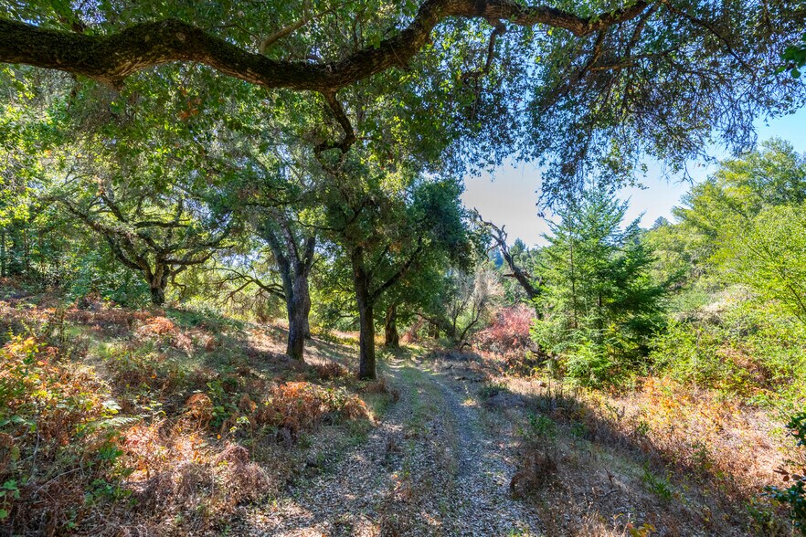 More Photos Of 2372 McKenzie Creek rd, Scotts Valley Land For Sale