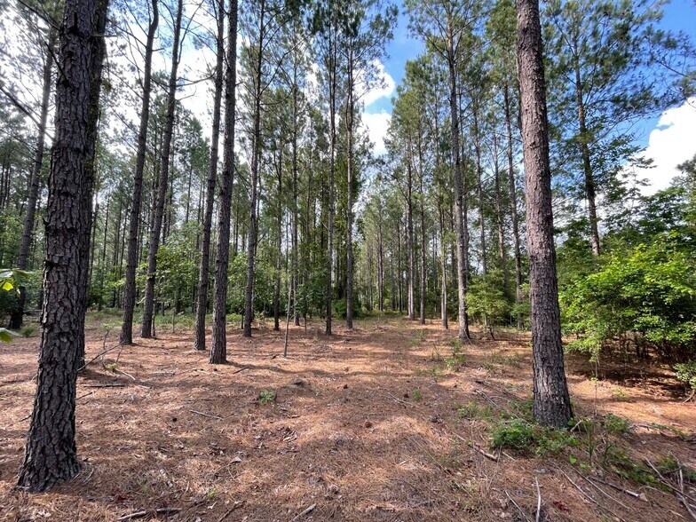 More Photos Of 229 Colbert Bridge Road, Windsor Land For Sale