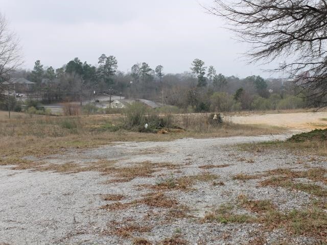 More Photos Of 720 E Forsyth St, Americus Land For Lease