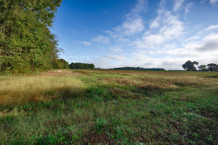 More Photos Of 20Acres Manley Rd, Hazel Green Land For Sale