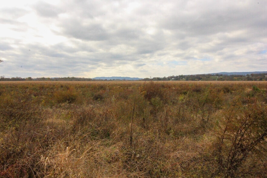 More Photos Of 16094 Evergreen Valley Rd, Timberville Specialty For Lease