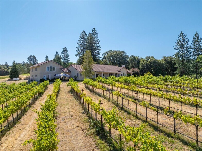 More Photos Of 31630 Forwards Rd, Manton Land For Sale