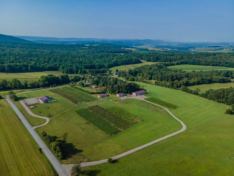 Primary Photo Of 596 Harman Rd, Halifax Winery Vineyard For Sale