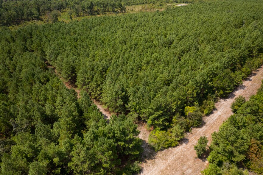 More Photos Of 000 CR304, Navasota Land For Sale