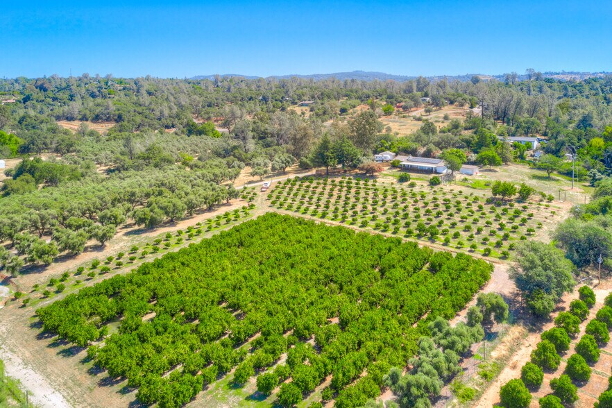 More Photos Of 78 Circle View Dr, Oroville Winery Vineyard For Sale