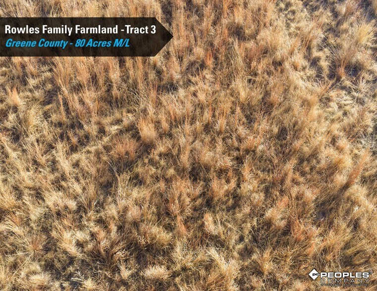 More Photos Of 00 County Highway E53, Grand Junction Land For Sale