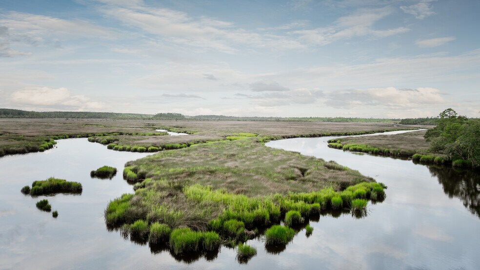 More Photos Of 0 Iron Safe Road Rd, Brunswick Land For Sale