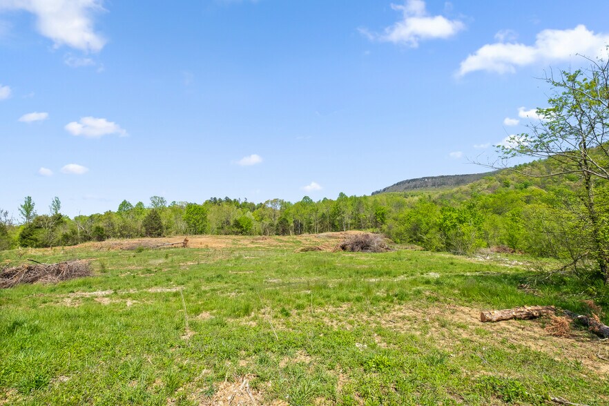 More Photos Of 0 Smith Rd, Spencer Land For Sale