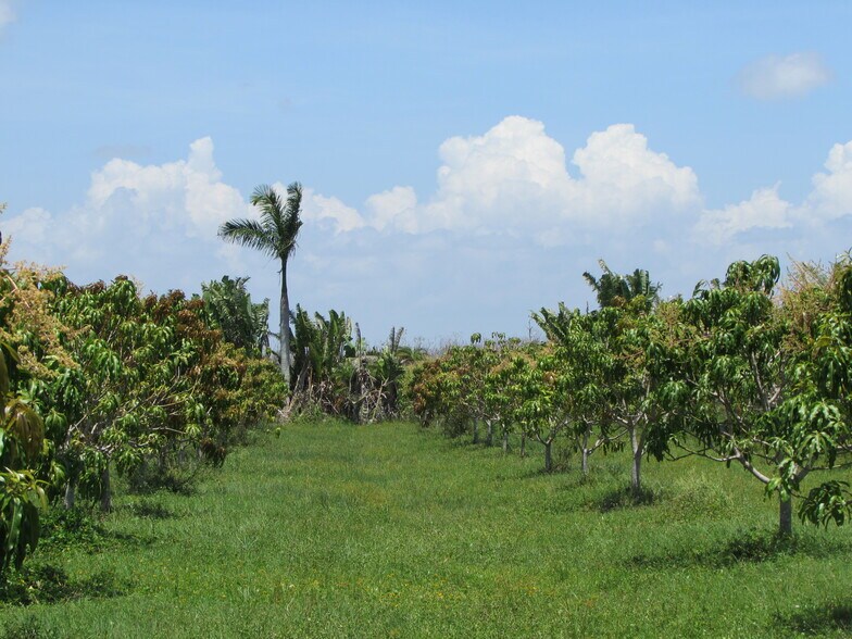 More Photos Of 9000 Stringfellow Rd, Saint James City Land For Sale