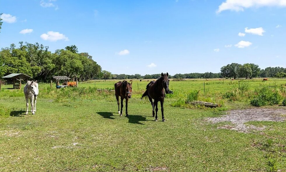 More Photos Of 101 SE 51st Lane, Center Hill Land For Sale