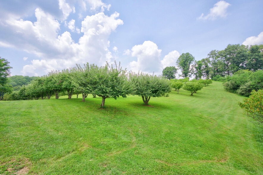 More Photos Of 1661 Turner Spur Rd, Fancy Gap Healthcare For Sale