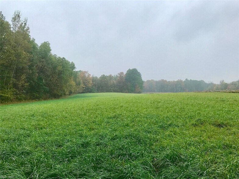 More Photos Of Bryant & SR 82 rd, Garrettsville Land For Sale