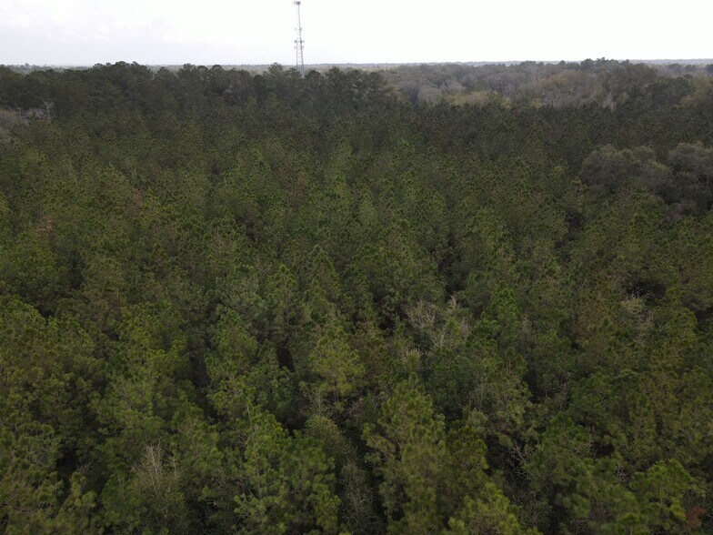 More Photos Of 0 Baldwin St, Satsuma Land For Sale