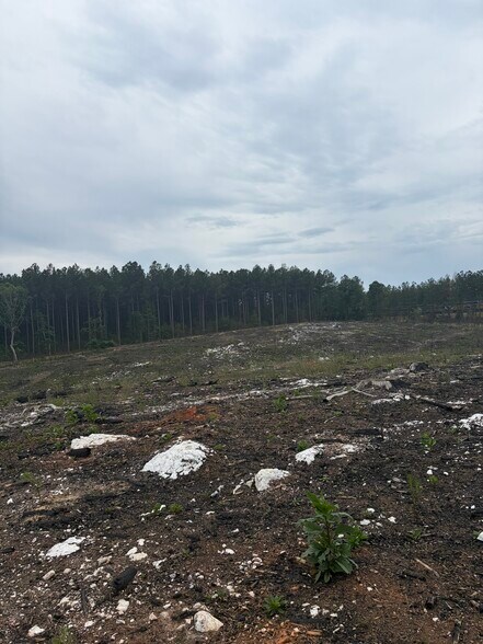 More Photos Of TBD Tarry Church Rd, Star Land For Sale