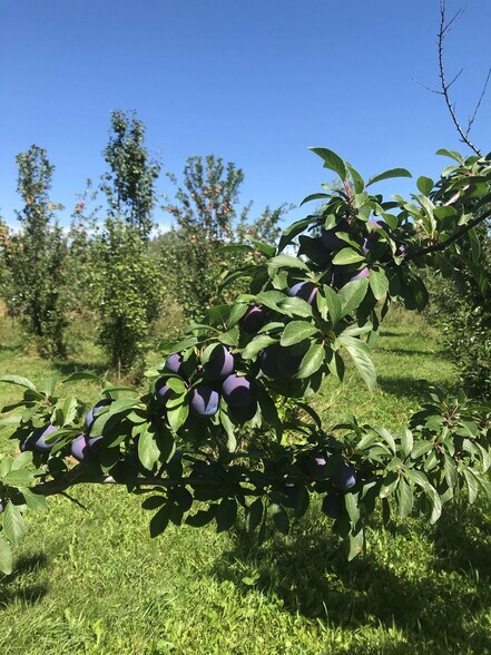 More Photos Of 157 Hergenrider Rd, Bridger Land For Sale