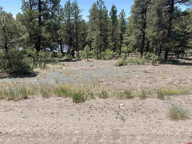 More Photos Of 2266 Co 600 rd, Pagosa Springs Land For Sale