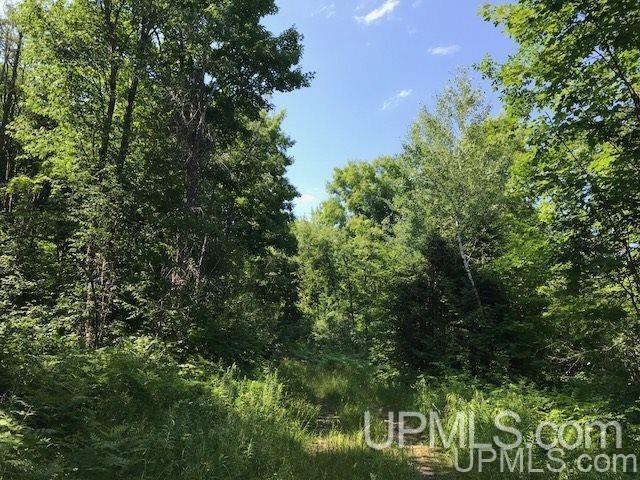 More Photos Of TBD Rock River Rd, Deerton Land For Sale