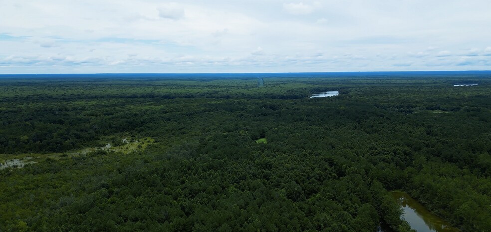 More Photos Of 2250 Sam Royal Rd, Axis Land For Sale