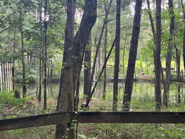 More Photos Of 123 CR 343, Cleveland Land For Sale