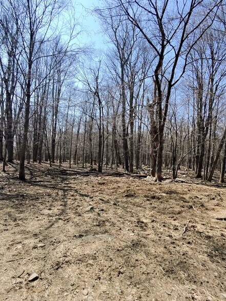 More Photos Of 127 Blum Rd, Equinunk Land For Sale