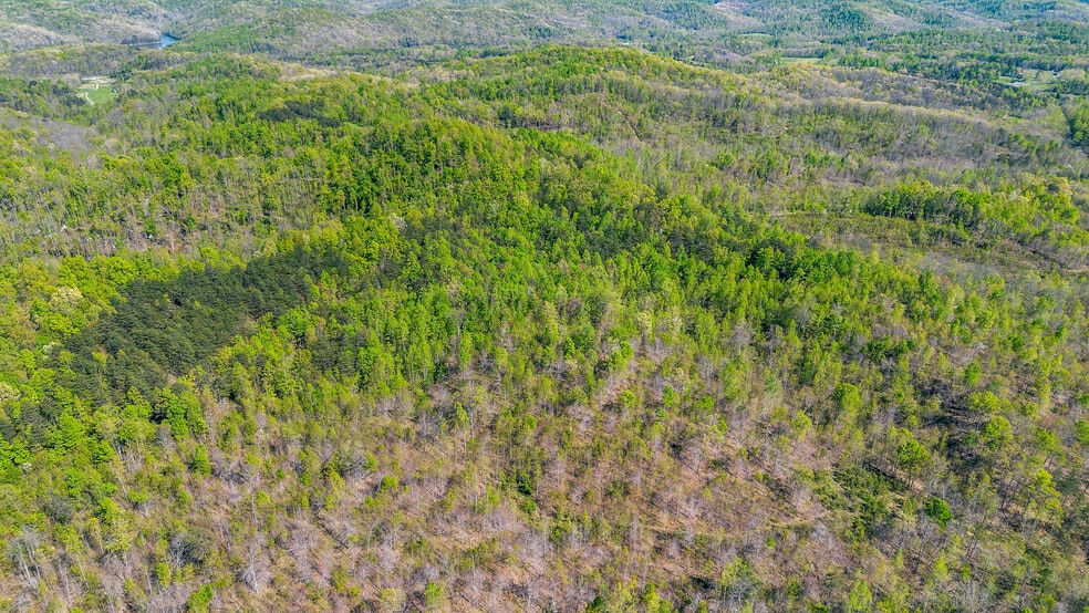 More Photos Of Knipp Branch, Grayson Land For Sale