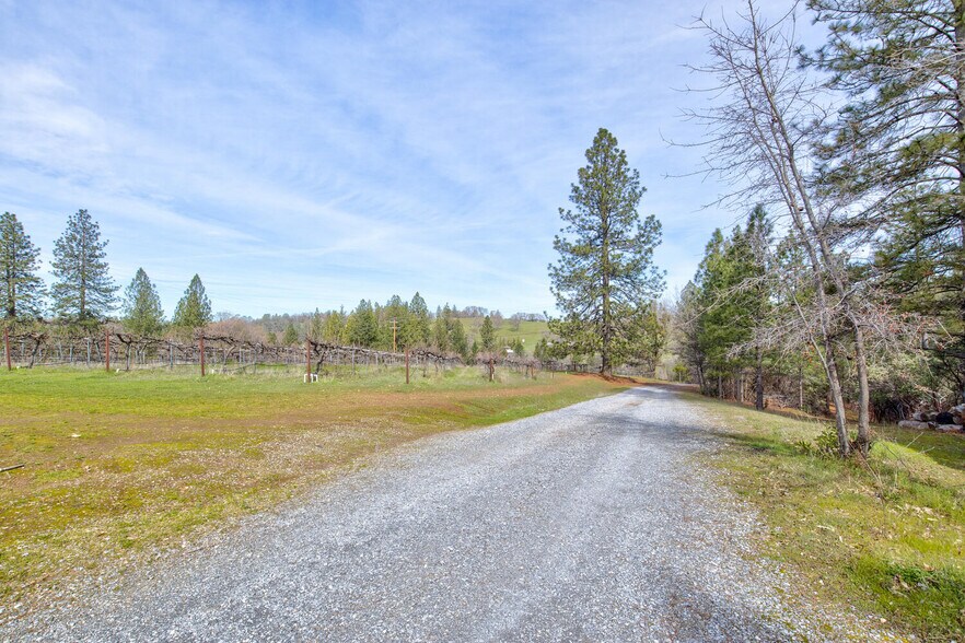 More Photos Of 4771 Greenhills Rd, Placerville Winery Vineyard For Sale