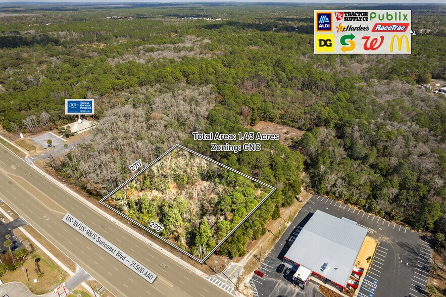 More Photos Of 8541 Faust ln, Homosassa Land For Sale