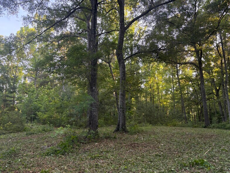 More Photos Of 33600 AL Highway 22, Verbena Flex For Sale