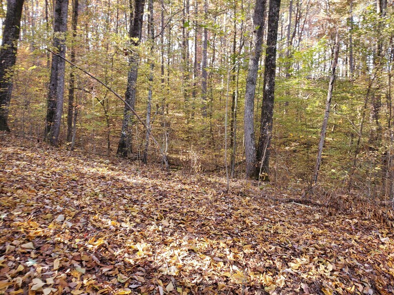 More Photos Of 1000 Block Of US-Hwy 64, Ocoee Land For Sale