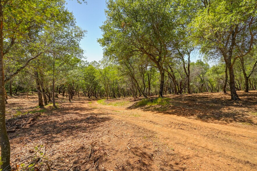 More Photos Of 10650 Werner Rd, Auburn Land For Sale