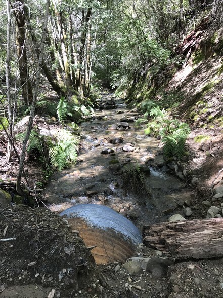 More Photos Of 49690 Highway 101, Laytonville Land For Sale