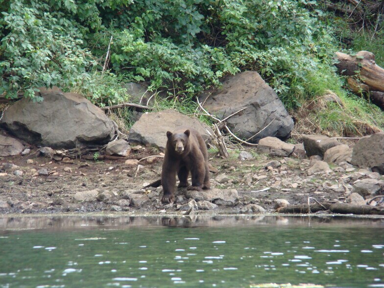 More Photos Of 31419 Hagen Flat rd, Big Bend Land For Sale