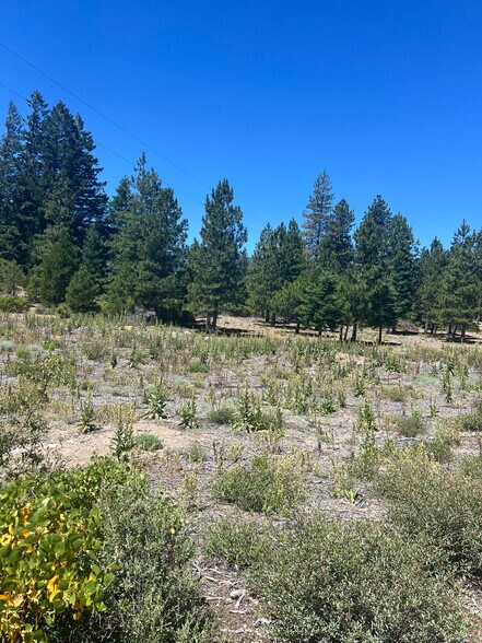 More Photos Of 0 Truck Village Dr, Mount Shasta Land For Sale