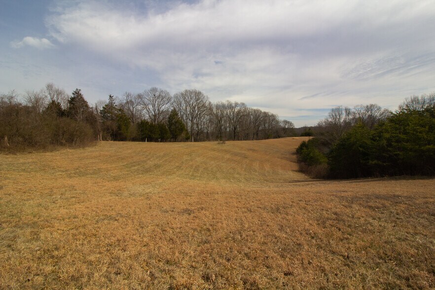 More Photos Of River Road, Madison Heights, Amherst, VA, USA, Madison Heights Land For Sale