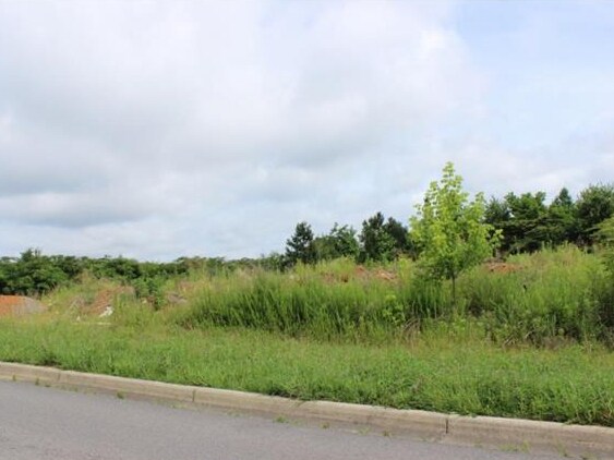 Primary Photo Of Olive St @ Highway 31, Cullman Land For Sale