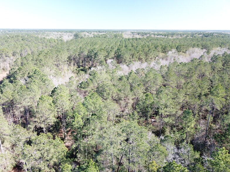 More Photos Of Corrigan Road, Vidor Land For Sale