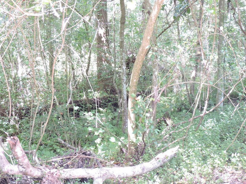 More Photos Of 12520 Yellow Bluff Rd, Jacksonville Land For Sale