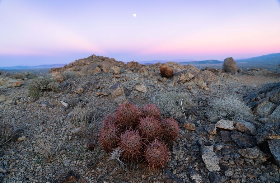 More Photos Of 61271 Calle Los Amigos, Joshua Tree Land For Sale