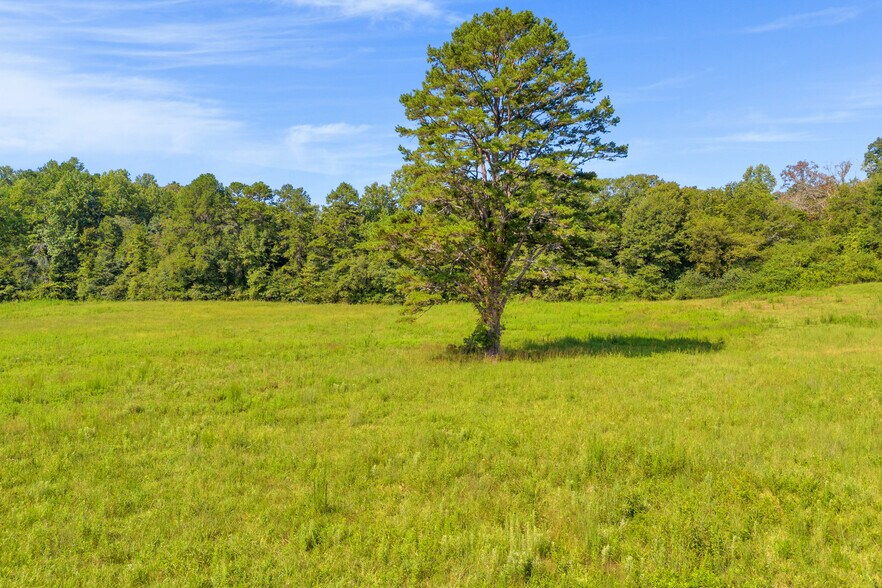 More Photos Of 8 Fornoff Dr, Toccoa Land For Sale