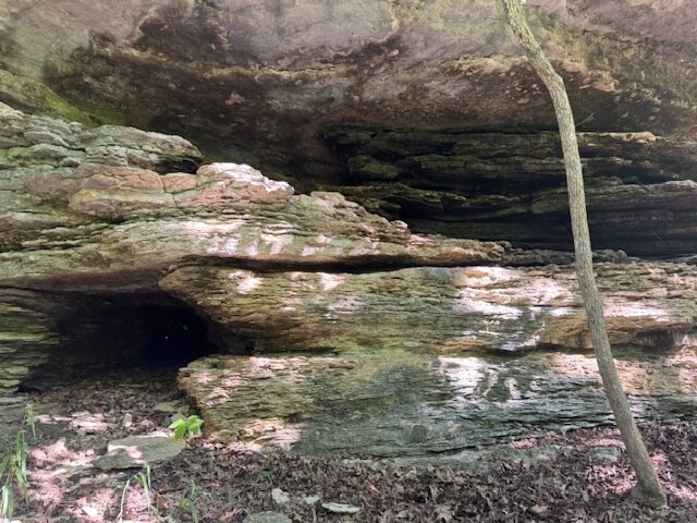 More Photos Of 190 Edgewater Dr, Eureka Springs Land For Sale