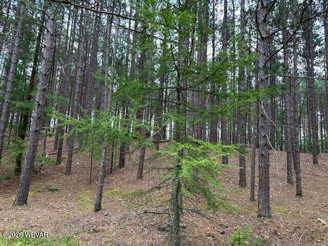 More Photos Of Beech Creek Mountain Rd, Beech Creek Land For Sale