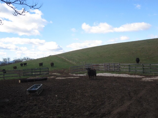 More Photos Of 6390 Old Mountain Rd, Roanoke Land For Sale