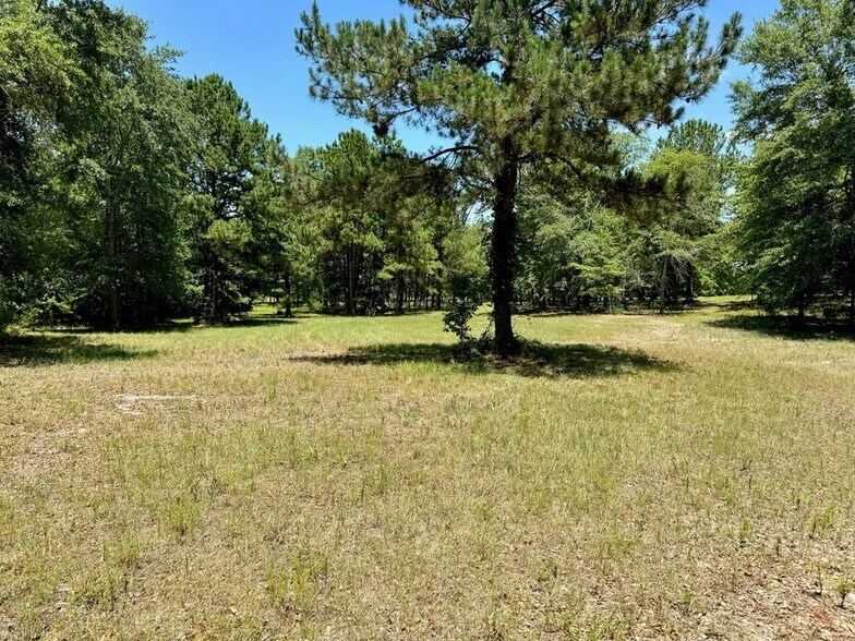 More Photos Of 241 Foskey Cemetery Rd, Adrian Land For Sale