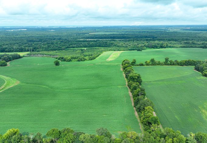 More Photos Of Fennell Ln, Tanner Land For Sale