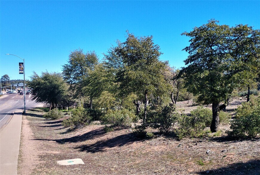 More Photos Of 201 W Longhorn Rd, Payson Land For Sale