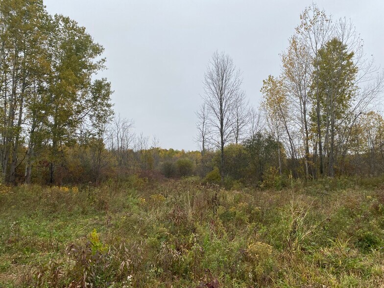 More Photos Of 0 Caughdenoy Rd, Clay Land For Sale