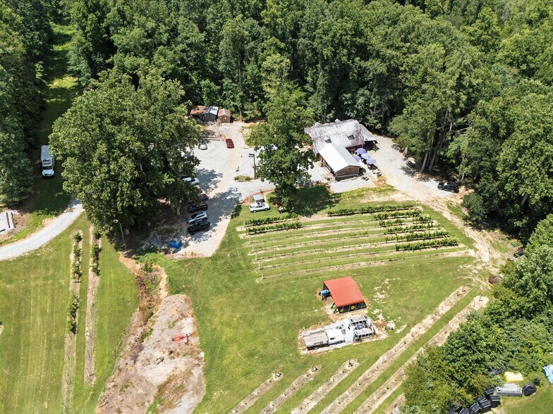 More Photos Of 124 Sandy Hill Ln, Hendersonville Winery Vineyard For Sale